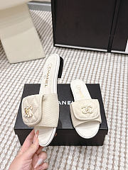 Spring Summer 2026 Chanel Mules Cotton Beige - 5