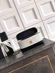 Chanel Vanity with Chain Suede Calfskin Shiny Lambskin & Gold-Tone Metal Gray & Black - 19.5x17x5cm - 5