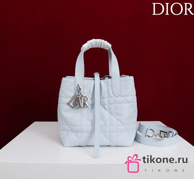 Small Dior Toujours Vertical Tote Bag Ice Blue Macrocannage Calfskin - 18x16x12cm - 1