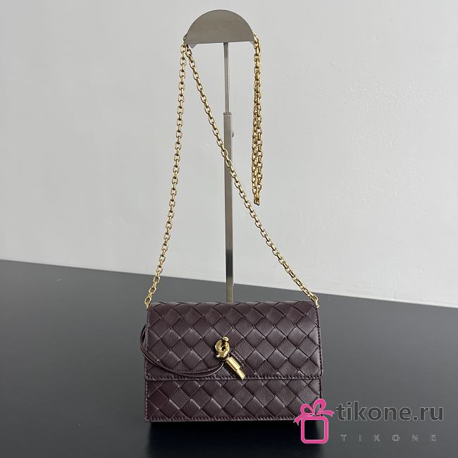 Bottega Veneta Andiamo Pouch On Chain Dark Barolo- 19x12.6x2cm - 1