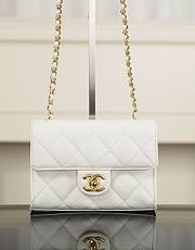Chanel Mini Flap Bag Grained Calfskin & Gold-Tone Metal White - 19x13x7cm - 1