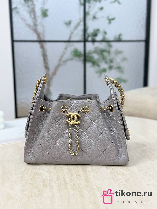 Chanel 25 Mini Handbag Grained Calfskin & Gold Tone Metal Gray - 22x20x12.5cm - 1