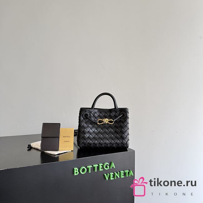 Bottega Veneta Mini Andiamo in Black - 20x15x9cm - 1