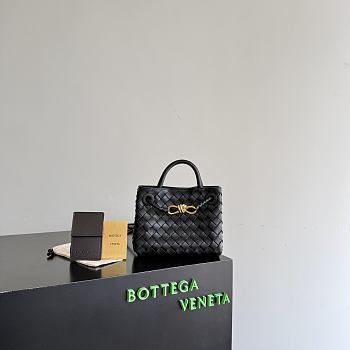 Bottega Veneta Mini Andiamo in Black - 20x15x9cm