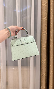 LV Rose De Vents Mini Ostrich Candy Green - 19x15x9cm - 4
