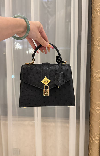 LV Rose De Vents Mini Ostrich Black - 19x15x9cm