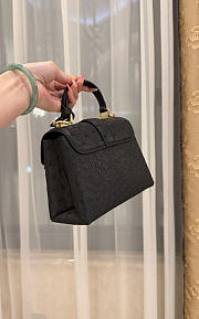 LV Rose De Vents Mini Ostrich Black - 19x15x9cm - 3