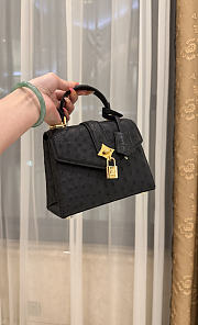 LV Rose De Vents Mini Ostrich Black - 19x15x9cm - 4
