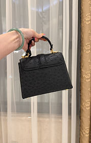 LV Rose De Vents Mini Ostrich Black - 19x15x9cm - 5