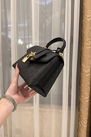 LV Rose De Vents Mini Ostrich Black - 19x15x9cm - 6