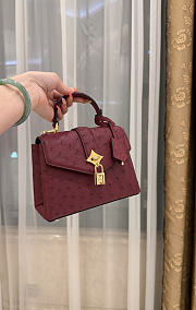 LV Rose De Vents Mini Ostrich Burgundy - 19x15x9cm - 6