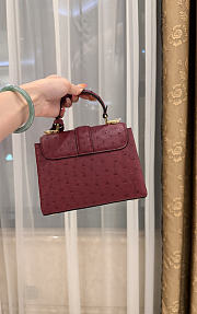 LV Rose De Vents Mini Ostrich Burgundy - 19x15x9cm - 5