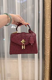 LV Rose De Vents Mini Ostrich Burgundy - 19x15x9cm - 3
