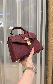 LV Rose De Vents Mini Ostrich Burgundy - 19x15x9cm - 2