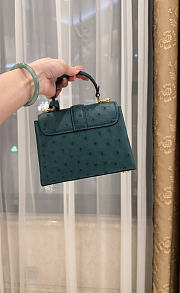 LV Rose De Vents Mini Ostrich Green - 19x15x9cm - 4