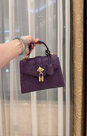 LV Rose De Vents Mini Ostrich Purple - 19x15x9cm - 6