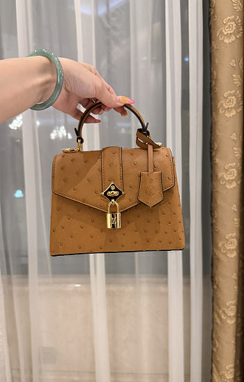 LV Rose De Vents Mini Ostrich Brown - 19x15x9cm