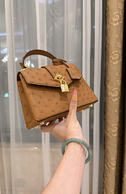 LV Rose De Vents Mini Ostrich Brown - 19x15x9cm - 6