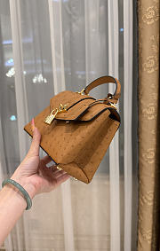 LV Rose De Vents Mini Ostrich Brown - 19x15x9cm - 5