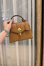 LV Rose De Vents Mini Ostrich Brown - 19x15x9cm - 4