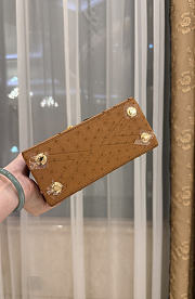 LV Rose De Vents Mini Ostrich Brown - 19x15x9cm - 3