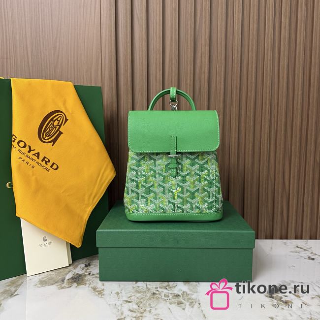 Goyard Alpin Mini Backpack Multicoloured Meadow Green - 23x19x9.5cm - 1