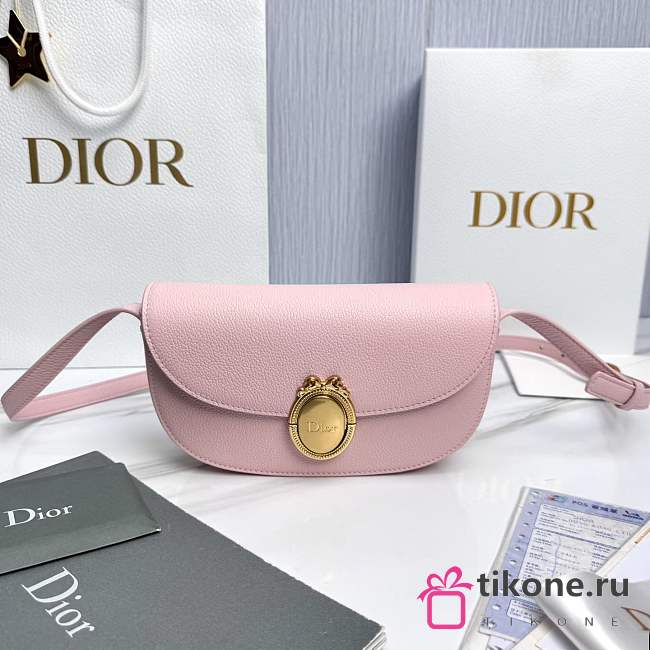 Small Dior Médaillon Flap Bag Rose Grained Calfskin - 21x12x5.5cm - 1
