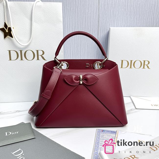 Small Dior Cigale Bag Shiny Supple Calfskin Red - 28x18x8cm - 1