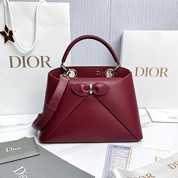 Small Dior Cigale Bag Shiny Supple Calfskin Red - 28x18x8cm