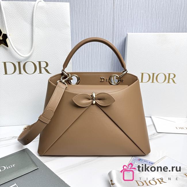 Small Dior Cigale Bag Shiny Supple Calfskin Brown - 28x18x8cm - 1
