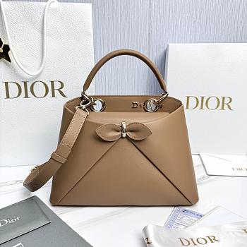 Small Dior Cigale Bag Shiny Supple Calfskin Brown - 28x18x8cm