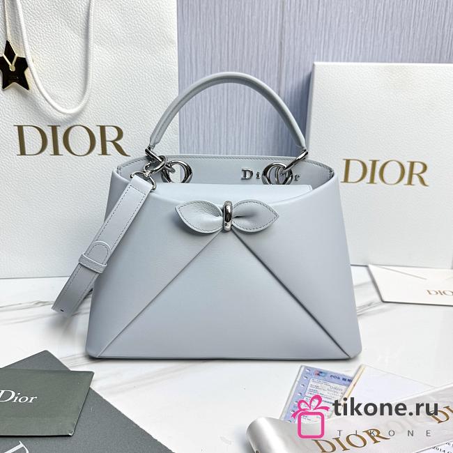 Small Dior Cigale Bag Shiny Supple Calfskin Ice Blue - 28x18x8cm - 1