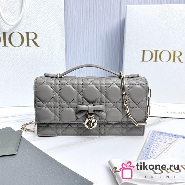 My Dior Mini Bag Trianon Gray Cannage Lambskin Bow - 21x11.5x4.5cm - 1