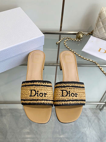 Dioriviera Dior Woven Heeled Slide Trench Crocheted Raffia-Effect Technical Fabric 3.5cm