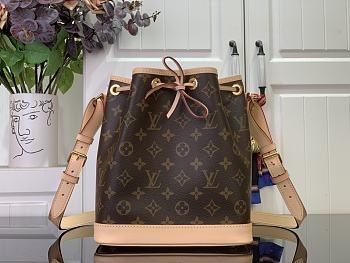 LV Petit Noé Monogram Canvas M46984 - 27x27x21cm
