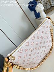 LV Multipass Monogram Dune Canvas M2A078 - 30x26x10cm - 3