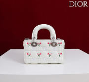Dioramour Lady D-Joy Micro Bag White Cannage Lambskin Embroidered with Multicolor Doves & Roses Motif - 16x9x5cm - 2