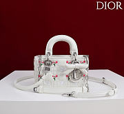 Dioramour Lady D-Joy Micro Bag White Cannage Lambskin Embroidered with Multicolor Doves & Roses Motif - 16x9x5cm - 3