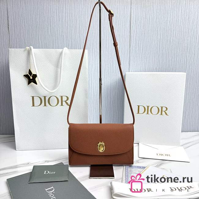Dior Médaillon Envelope Pouch with Strap Marron Bobby and Lingerie Pink Grained Calfskin - 20.5x13.5x4cm - 1