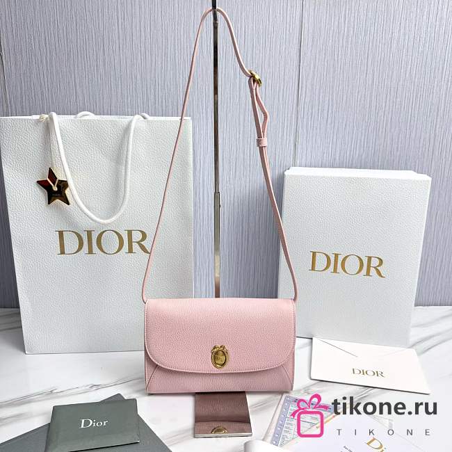 Dior Médaillon Envelope Pouch with Strap Rose Tendre and Gris Pietro Grained Calfskin - 20.5x13.5x4cm - 1