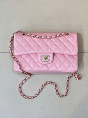 Chanel Classic Light Pink Lamskin Light Gold Hardware Bag - 15.5×25.5×6.5cm - 3