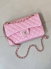 Chanel Classic Light Pink Lamskin Light Gold Hardware Bag - 15.5×25.5×6.5cm - 5