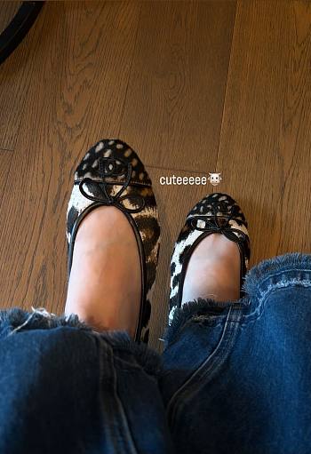 Chanel Ballet Flats Calfskin & Lambskin White, Brown & Black