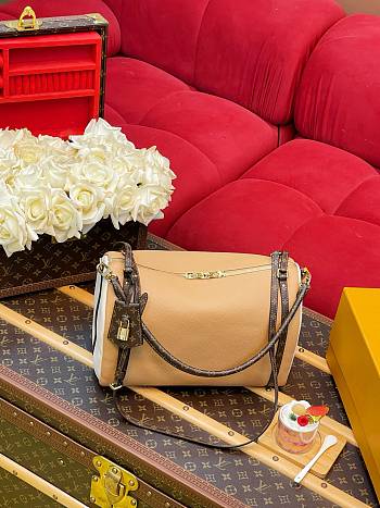 LV Express MM Brown Oat Cotton M2A076 - 36x24x18.5cm