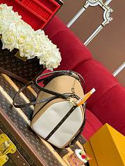 LV Express MM Brown Oat Cotton M2A076 - 36x24x18.5cm - 2