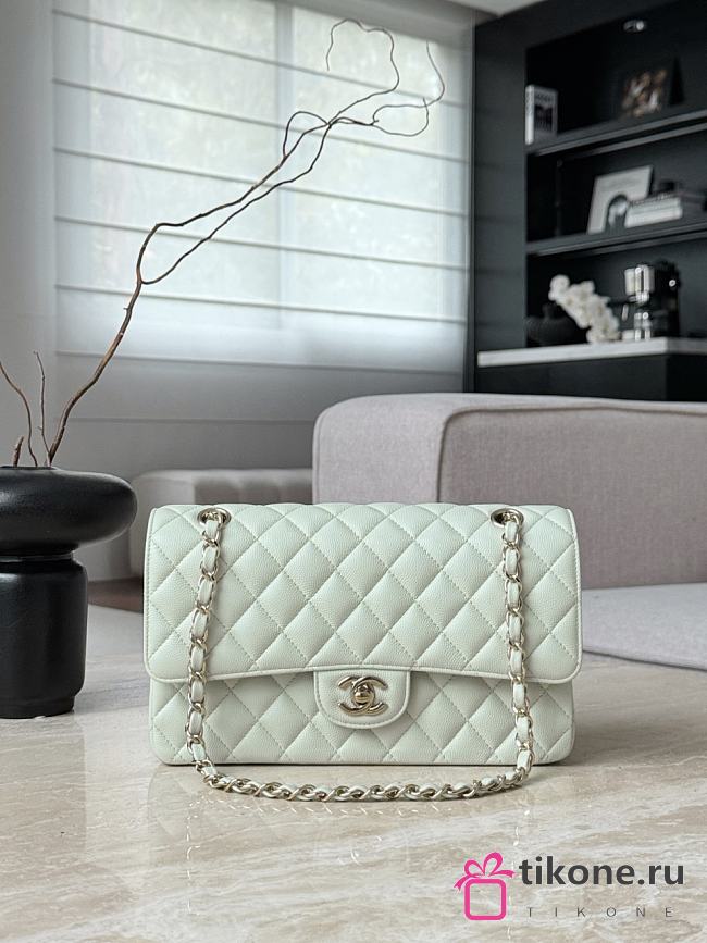 Chanel Classic Light Green Caviar Light Gold Hardware Bag - 15.5×25.5×6.5cm - 1