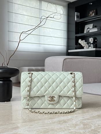Chanel Classic Light Green Caviar Light Gold Hardware Bag - 15.5×25.5×6.5cm