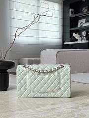 Chanel Classic Light Green Caviar Light Gold Hardware Bag - 15.5×25.5×6.5cm - 5