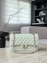 Chanel Classic Light Green Caviar Light Gold Hardware Bag - 15.5×25.5×6.5cm - 4