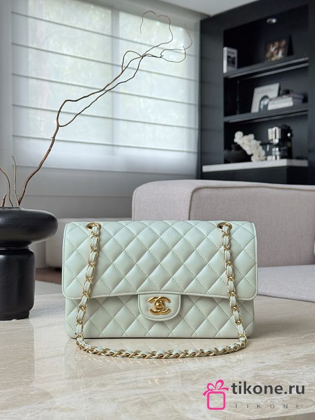 Chanel Classic Light Green Caviar Gold Hardware Bag - 15.5×25.5×6.5cm - 1
